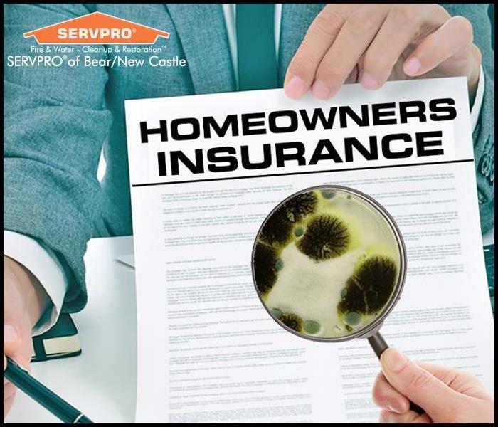 Magnifying glass over a homeowner's insurance policy