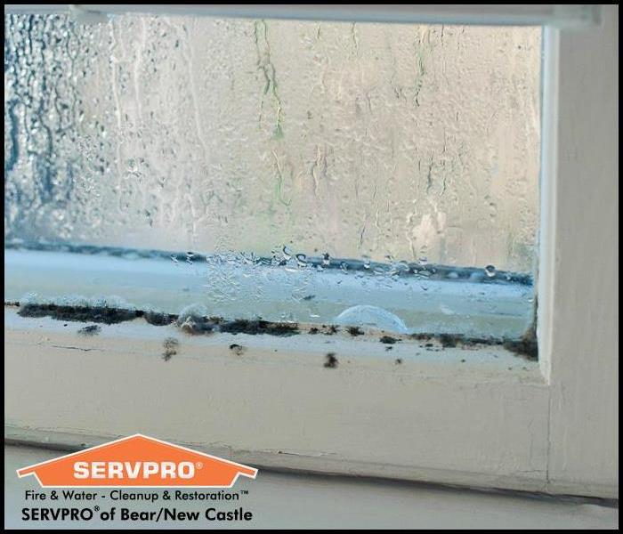 Close up of a white window sill with condensation and mold growing along the pane and the frame