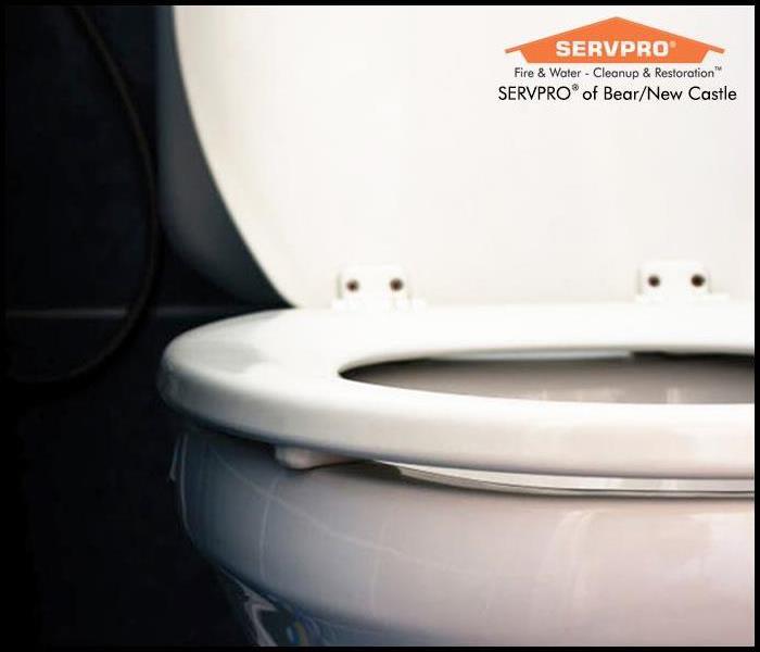 Image of a toilet with the lid open